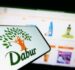 Trademark Protection in India: Lessons from Dabur’s ‘Pudin Hara’ Victory